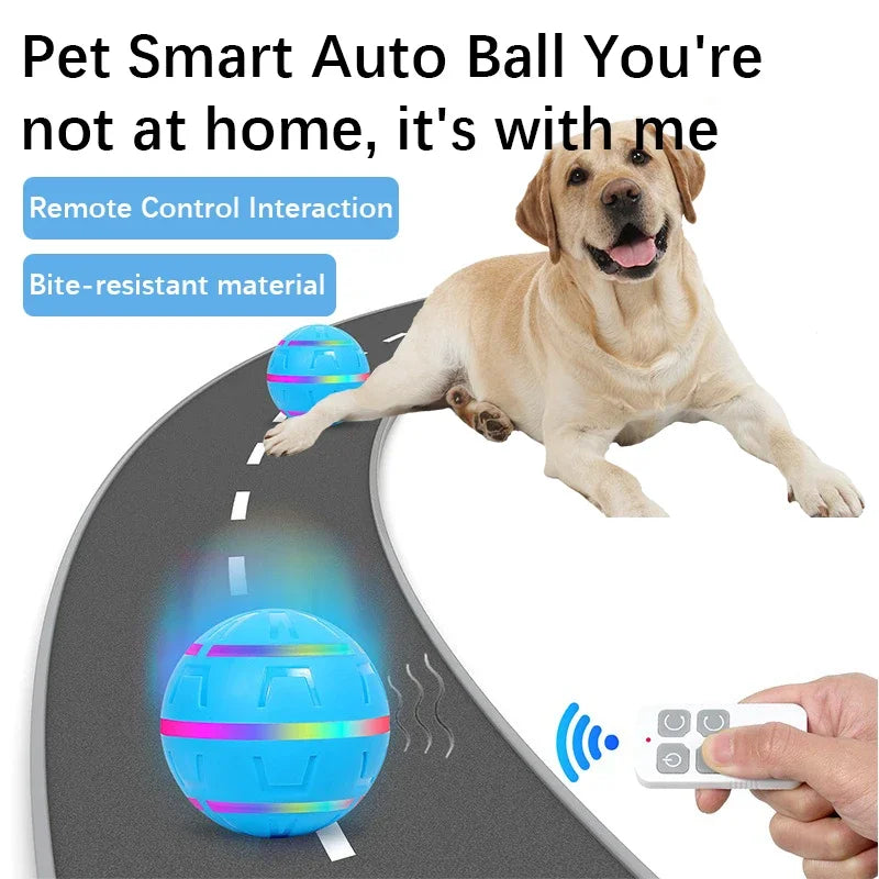 Remote Control Flashing Pet Toy Ball – USB Rechargeable