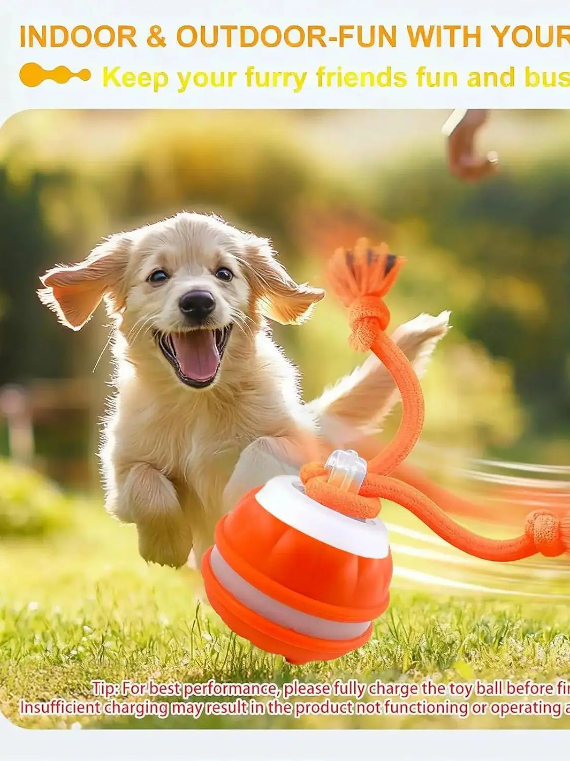 Electronic Rolling Dog Toy Ball with Rope