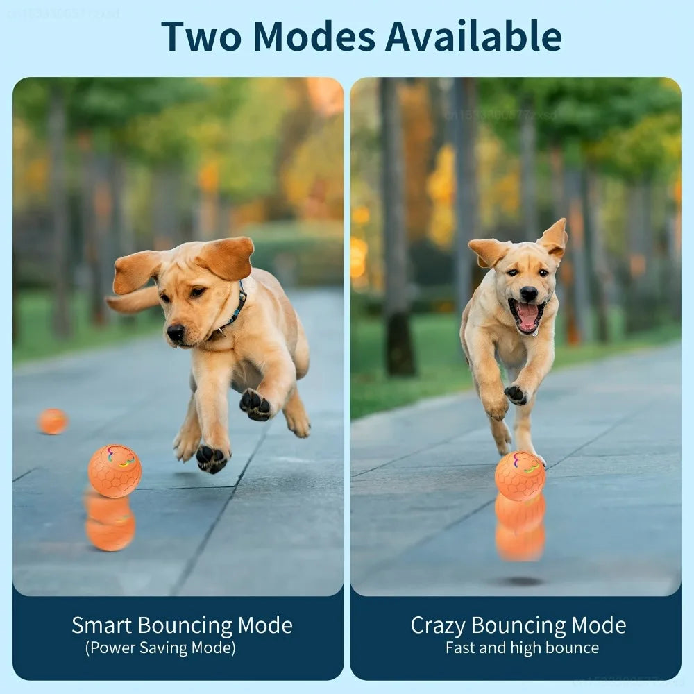 Smart Auto-Bouncing Dog & Cat Toy Ball with RGB Lights