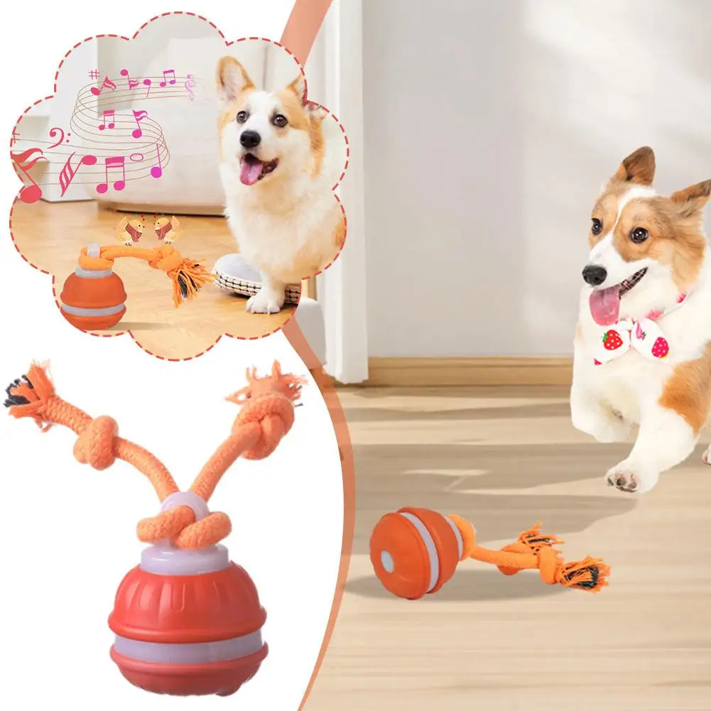 Auto-Rolling Interactive Dog Toy Ball – USB Rechargeable