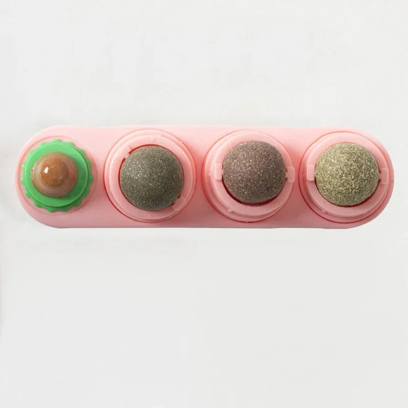 Catnip & Silver Vine Cat Toy Ball – Teeth Cleaning & Digestive Health