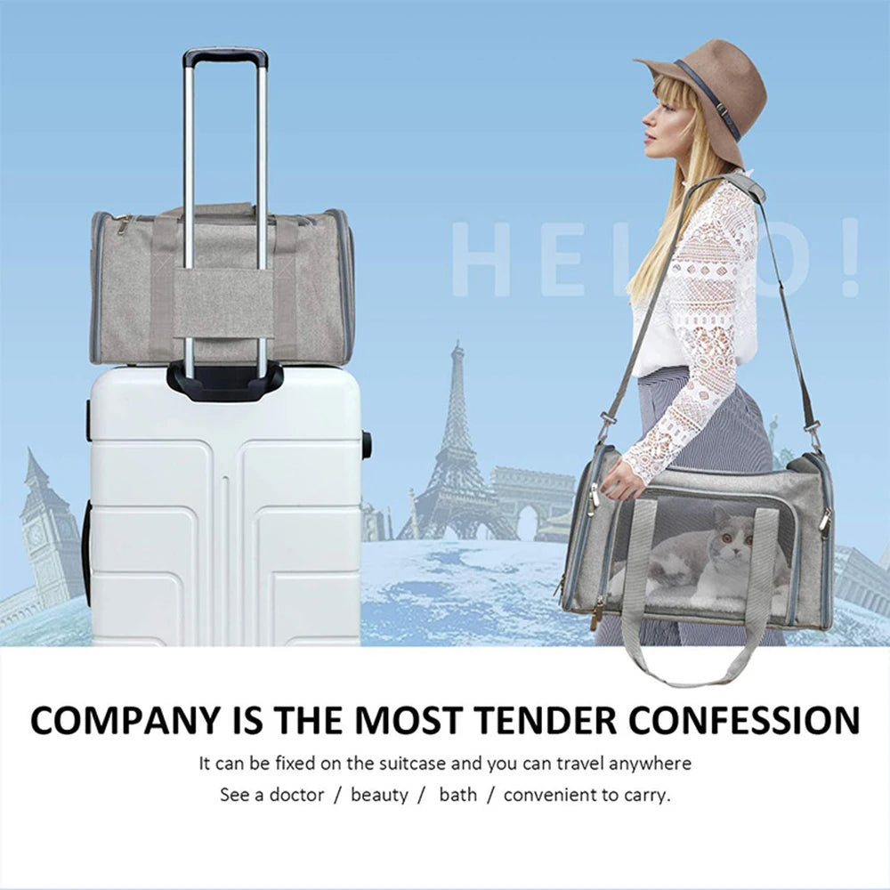 Cat & Dog Carrier for Small to Medium Pet up to 15 Lbs, Collapsible and Suitable for Travel