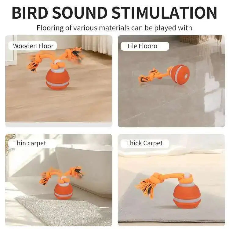 Motion-Activated Squeaky Rolling Dog Toy Ball