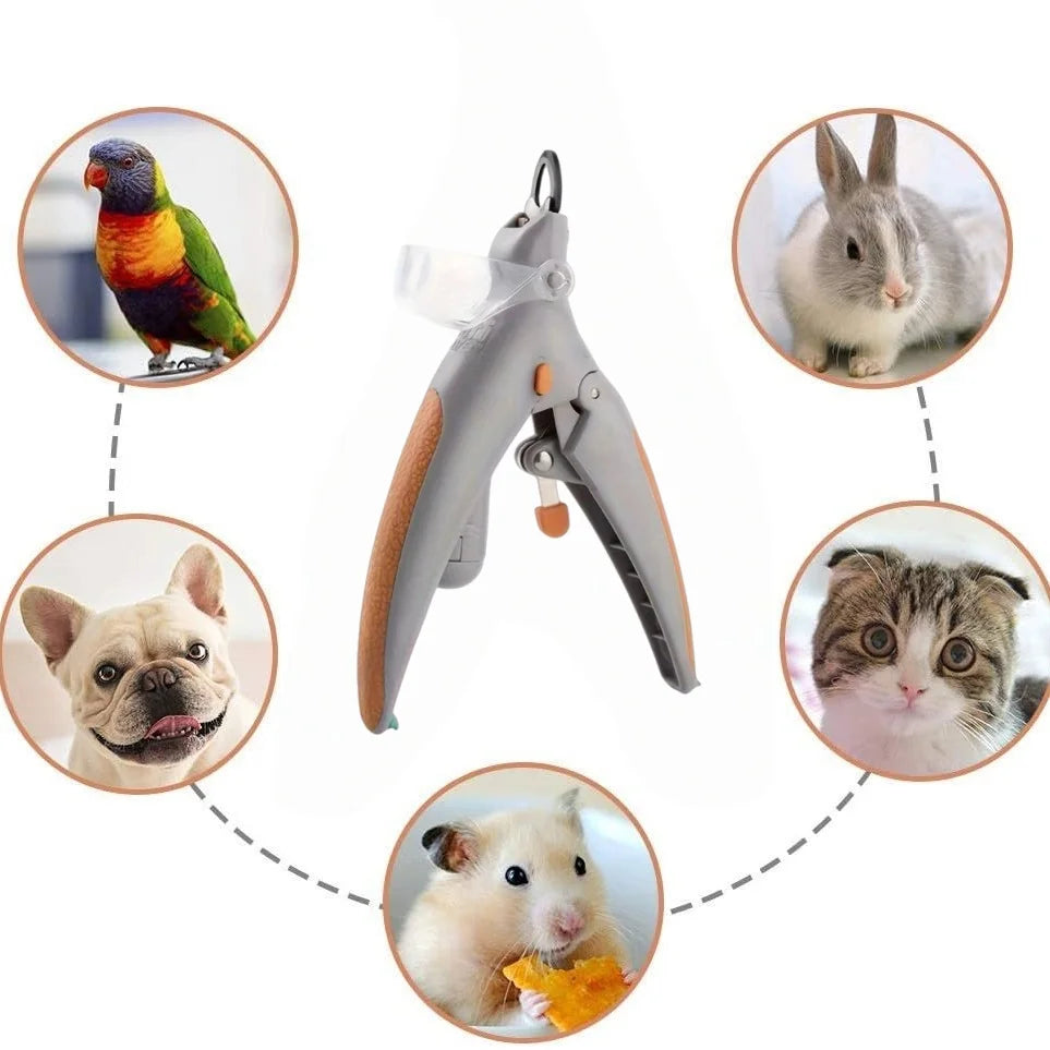 Pet cat and dog nail clippers with LED light, polishing and cleaning supplies