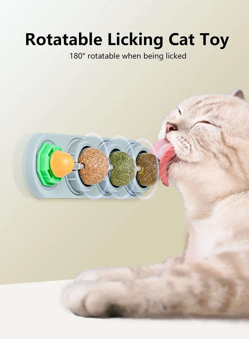 Catnip & Silver Vine Cat Toy Ball – Teeth Cleaning & Digestive Health