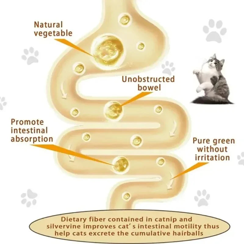 Catnip & Silver Vine Cat Toy Ball – Teeth Cleaning & Digestive Health