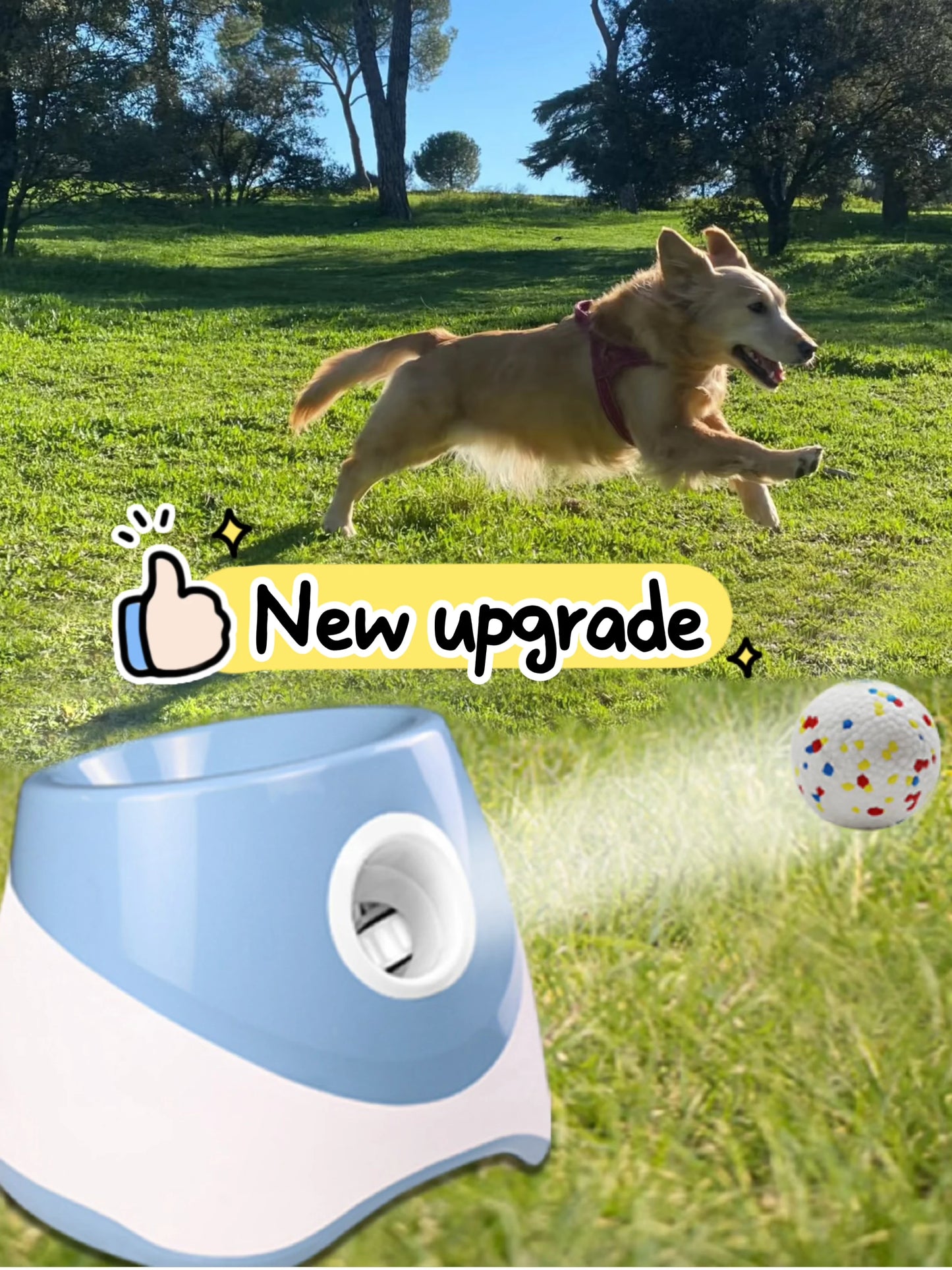 Automatic Tennis Ball Launcher for Dogs – USB Rechargeable