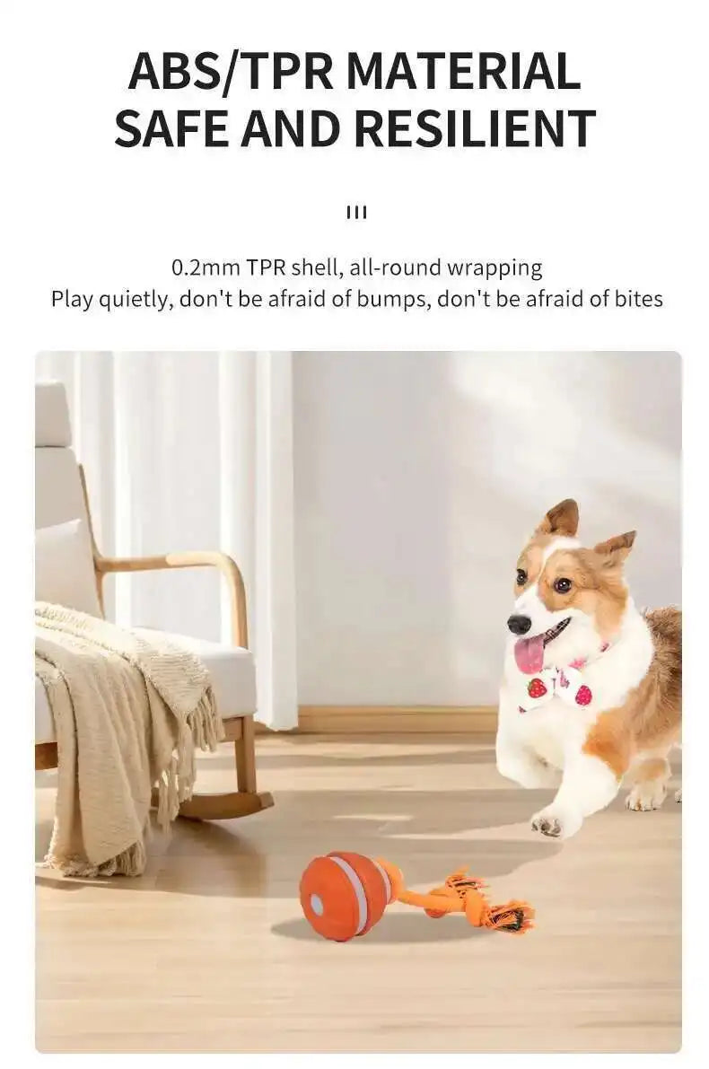 Motion-Activated Squeaky Rolling Dog Toy Ball