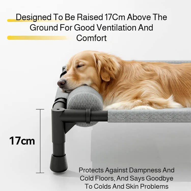 Raised Breathable Mesh Pet Bed with Pillow – Cats & Dogs