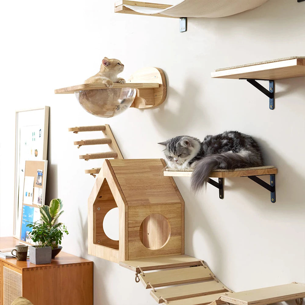 Wall-Mounted Cat Climbing Shelves with Hammock & Steps