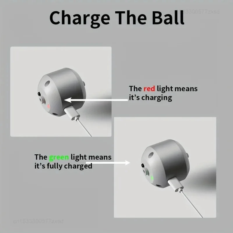 Smart Auto-Bouncing Dog & Cat Toy Ball with RGB Lights