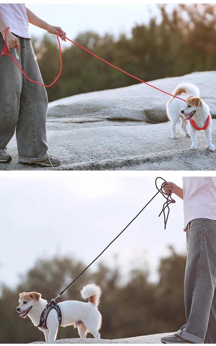 Reflective Dog Harness & Leash Set – Adjustable Vest
