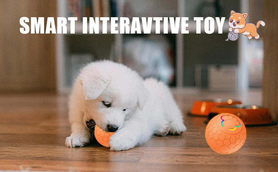 Interactive RGB Dog & Cat Toy Ball – USB Auto-Bouncing