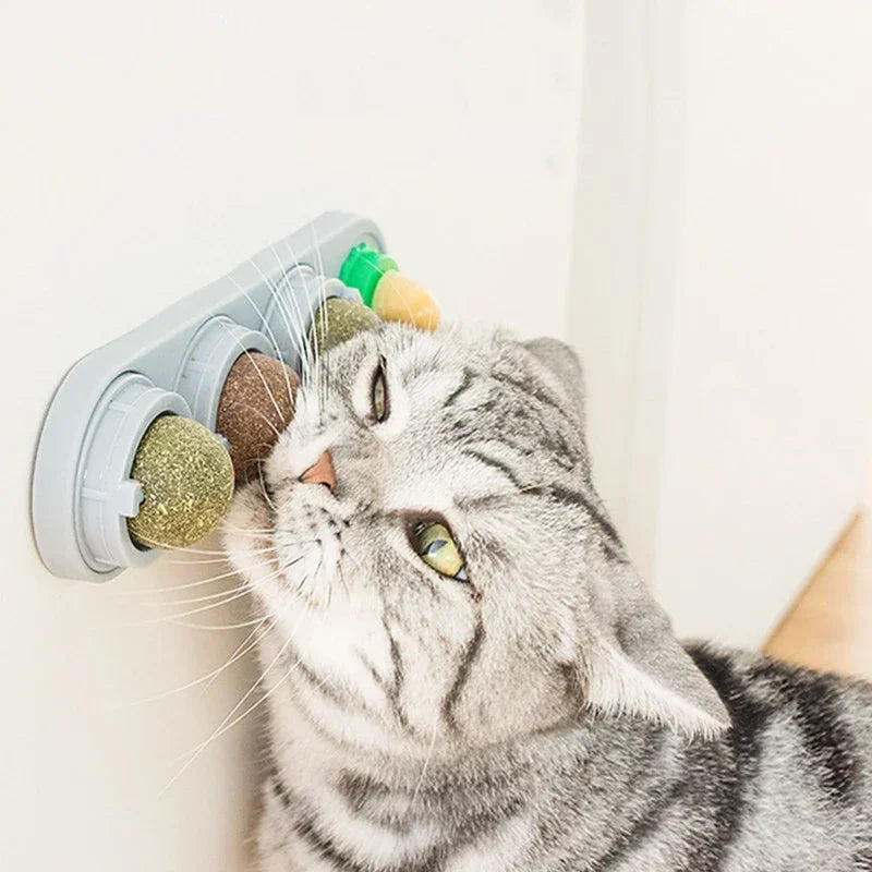 Catnip & Silver Vine Cat Toy Ball – Teeth Cleaning & Digestive Health