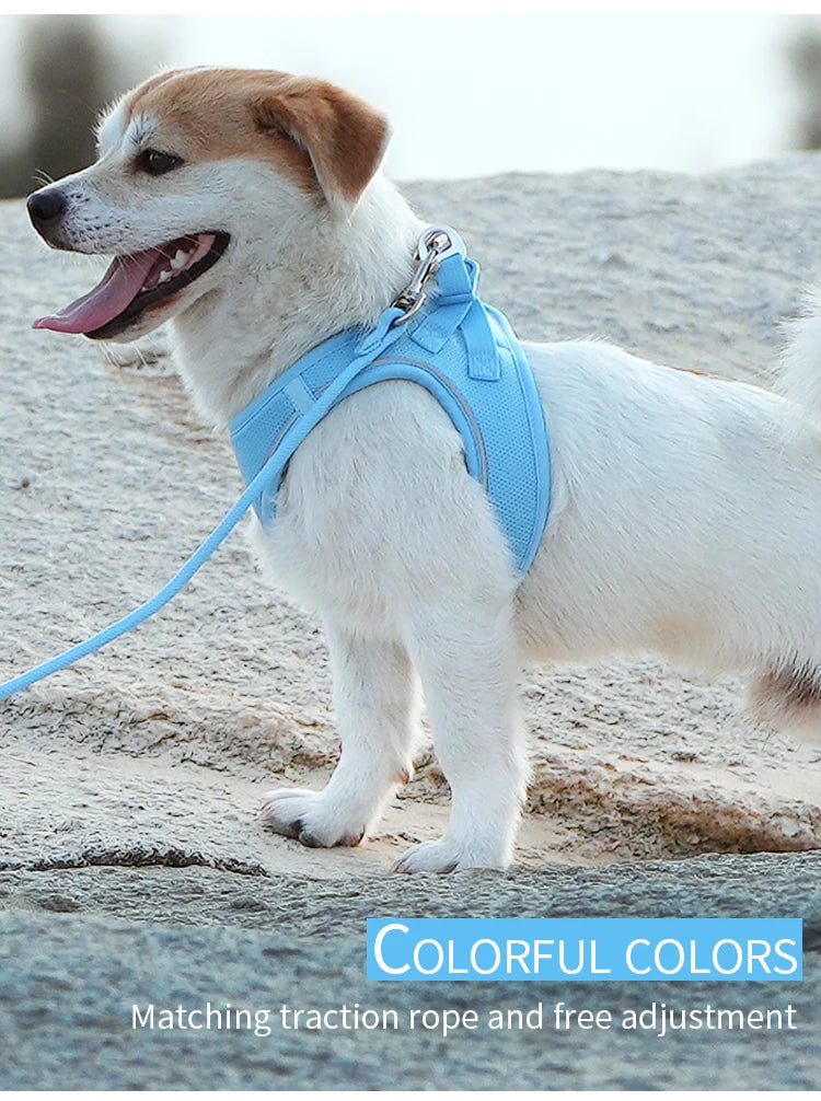 Reflective Dog Harness & Leash Set – Adjustable Vest