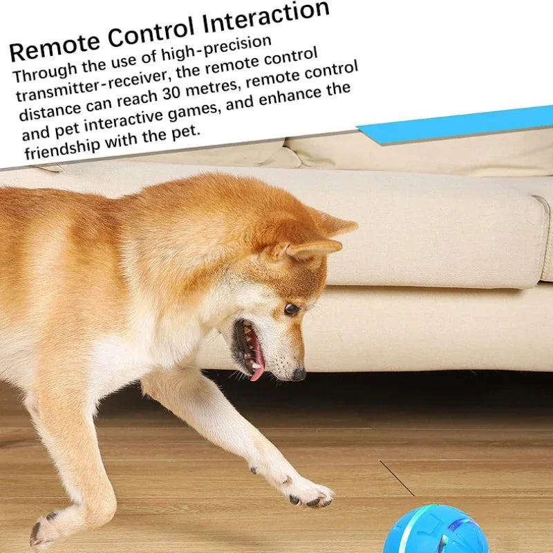 Remote Control Flashing Pet Toy Ball – USB Rechargeable