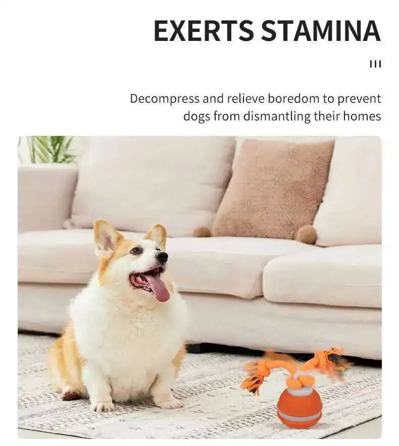 Motion-Activated Squeaky Rolling Dog Toy Ball