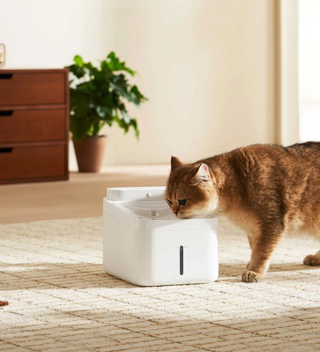 Xiaomi Mijia Smart Pet Drinking Fountain 2 by Waggy Tail, 3L wireless auto-sensing water dispenser for cats and dogs.
