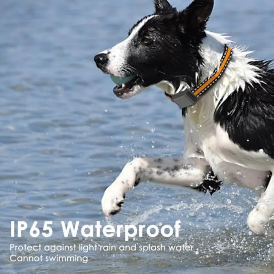 GPS dog tracker for medium/large dogs, durable silicone strap, black, 3-level virtual fences, 7-day battery, IP66 water resista