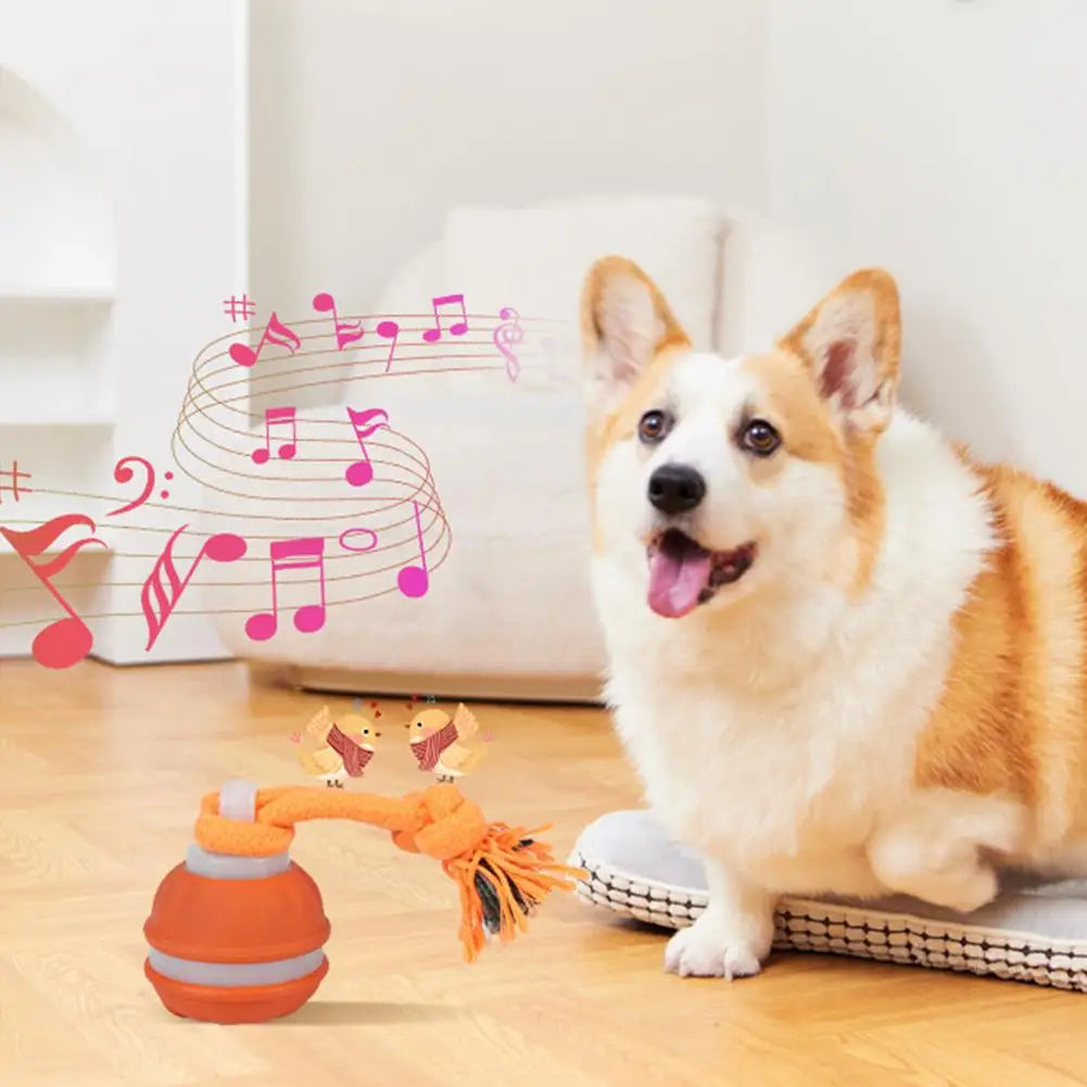 Auto-Rolling Interactive Dog Toy Ball – USB Rechargeable