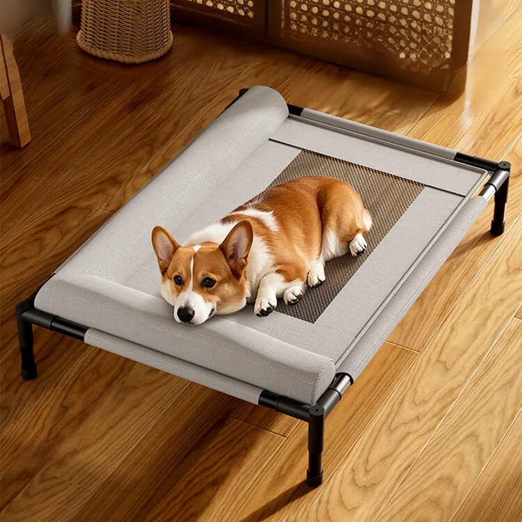 Pet Floor-Off Raised Mesh Bed Breathable Mesh Pet Bed Four Seasons Universal Dog Bed Detachable Washable Moisture-Proof