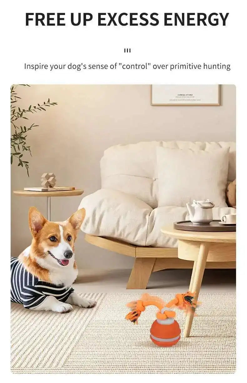 Motion-Activated Squeaky Rolling Dog Toy Ball