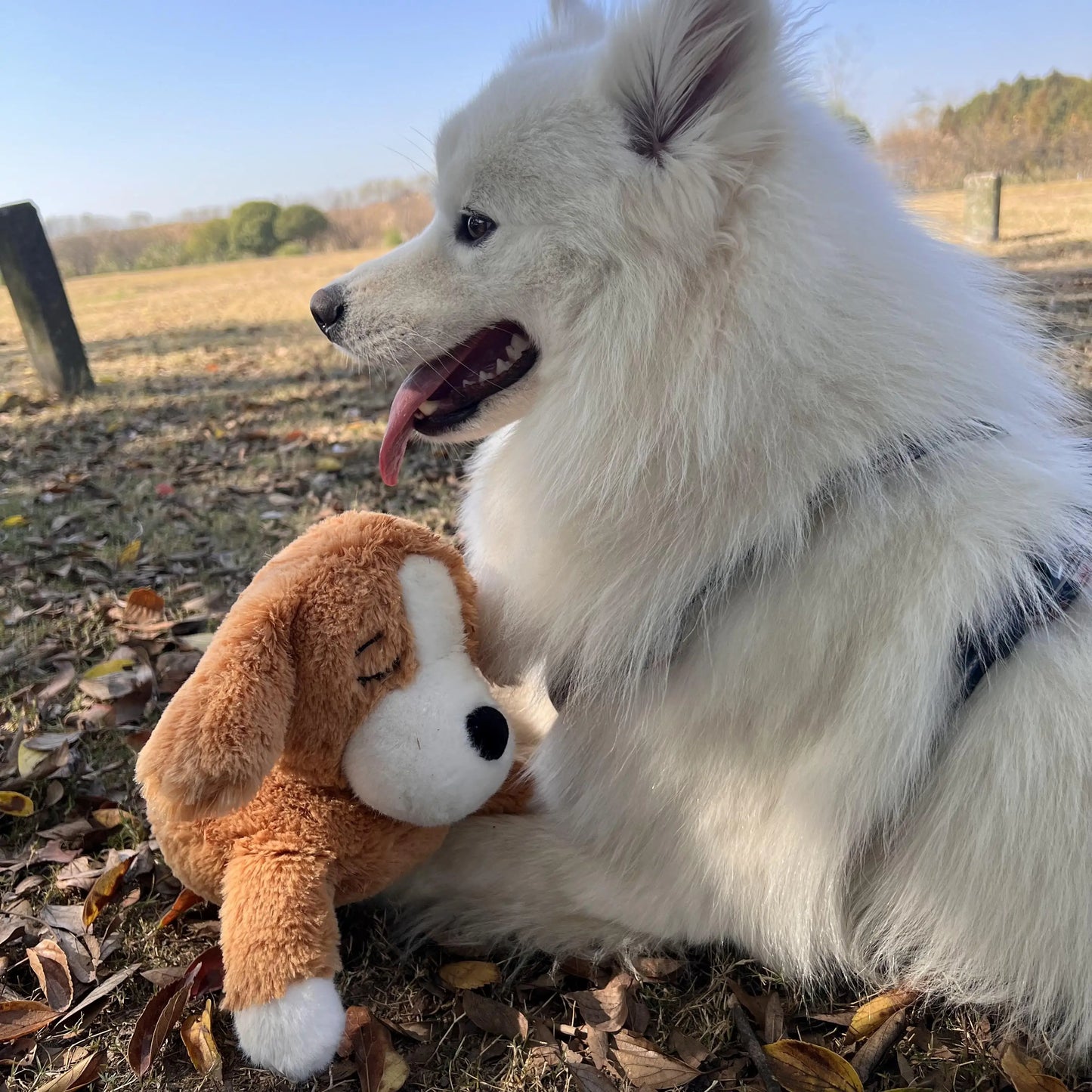 Curved Pillow Heartbeat Dog Toy – Comfort & Training