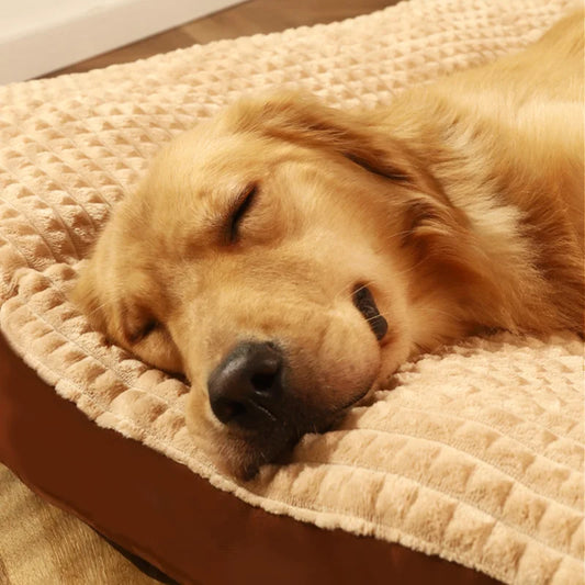 Fleece Dog Sleeping Bed – Detachable, All Sizes