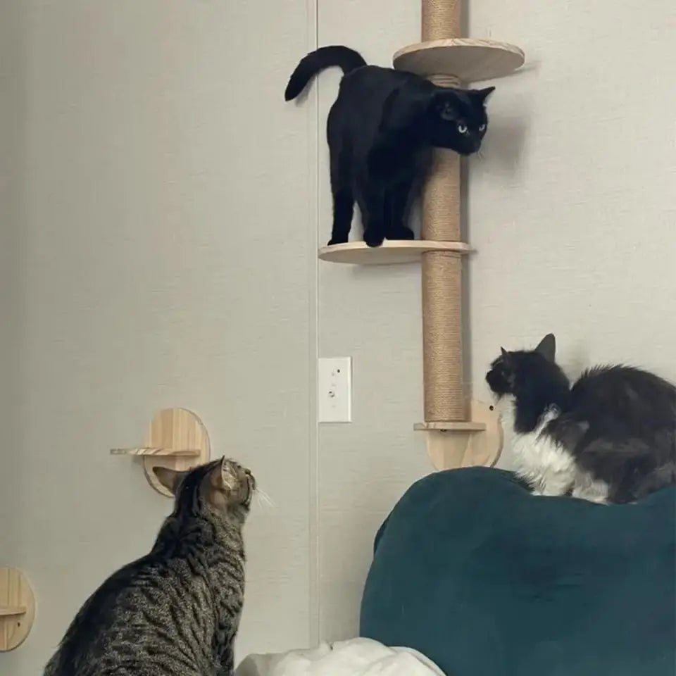 Wall-Mounted Wooden Cat Shelves with Sisal Post & Hammock