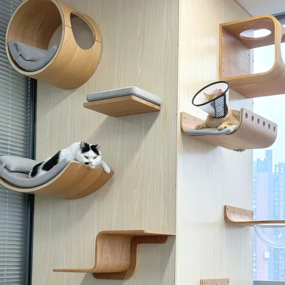 Wall-Mounted Wooden Cat Shelves with Sisal Post & Hammock