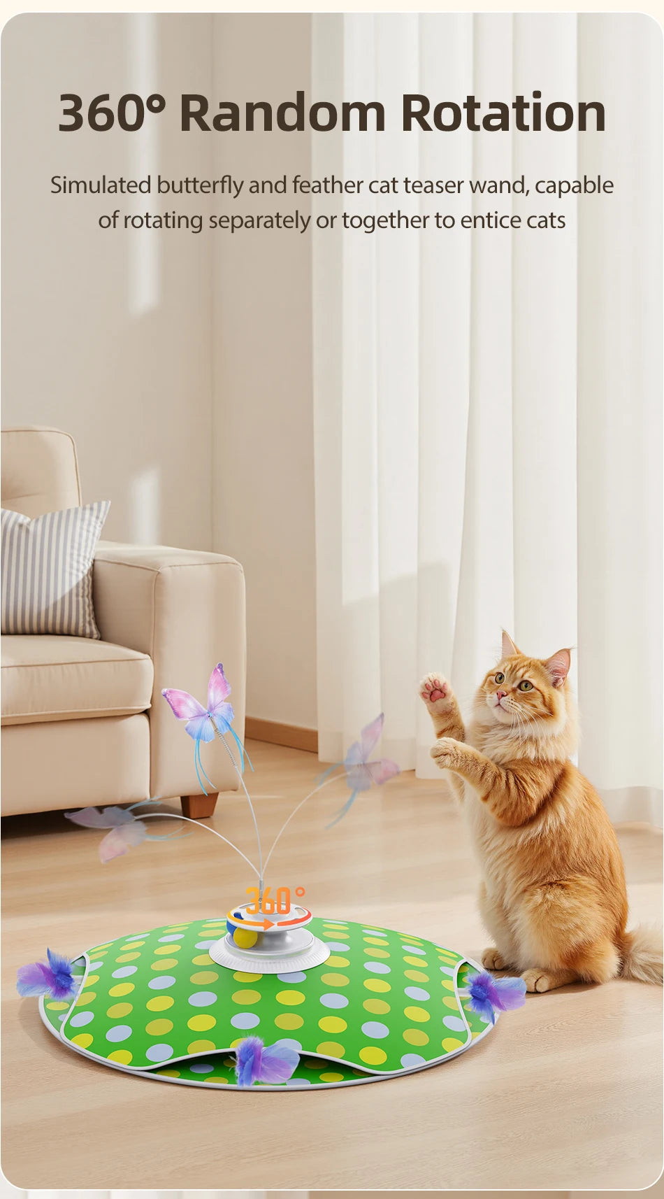 3-in-1 Hide & Seek Cat Toy – Feather, Butterfly & Track Balls